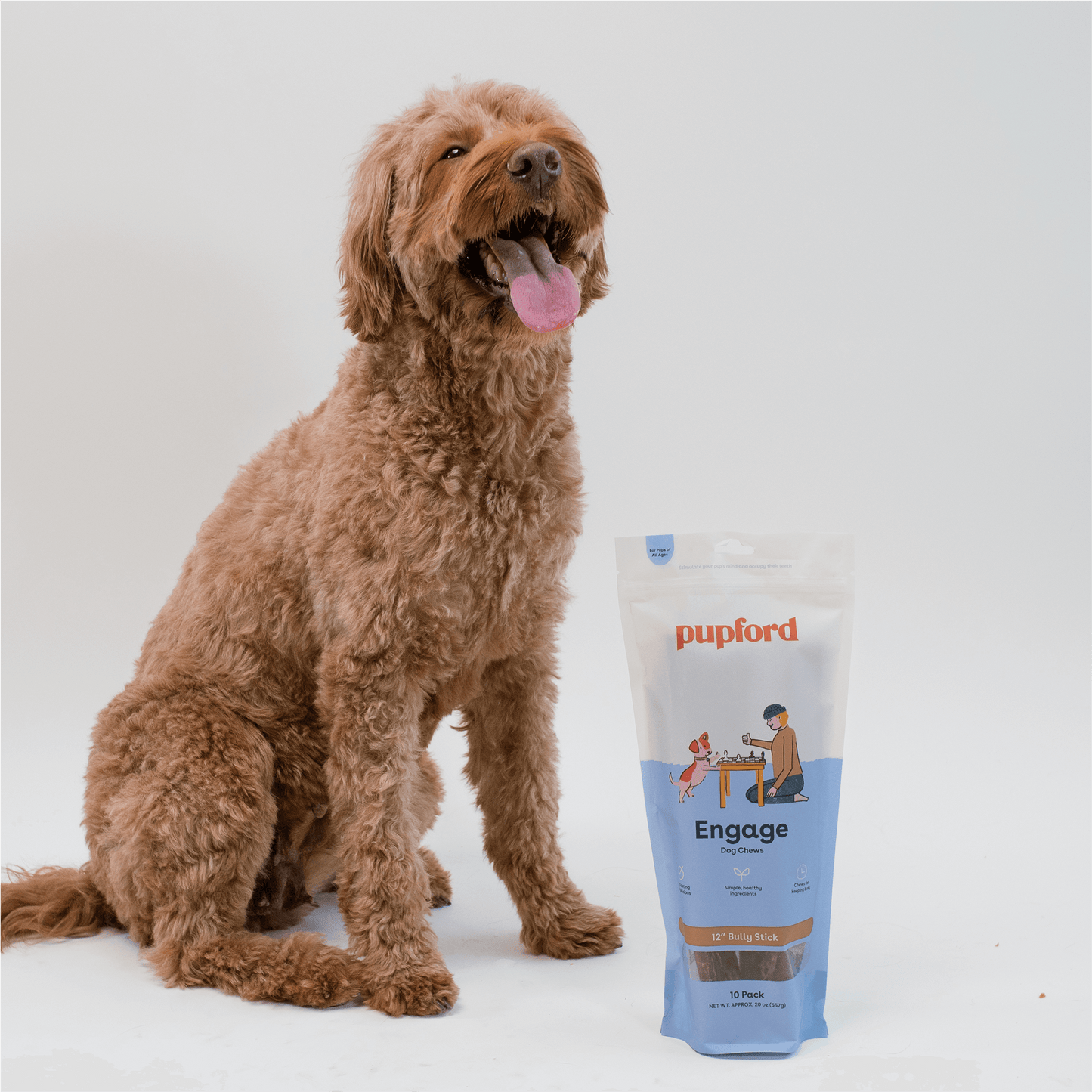 Happy dog with a bag of 12 inch bully sticks