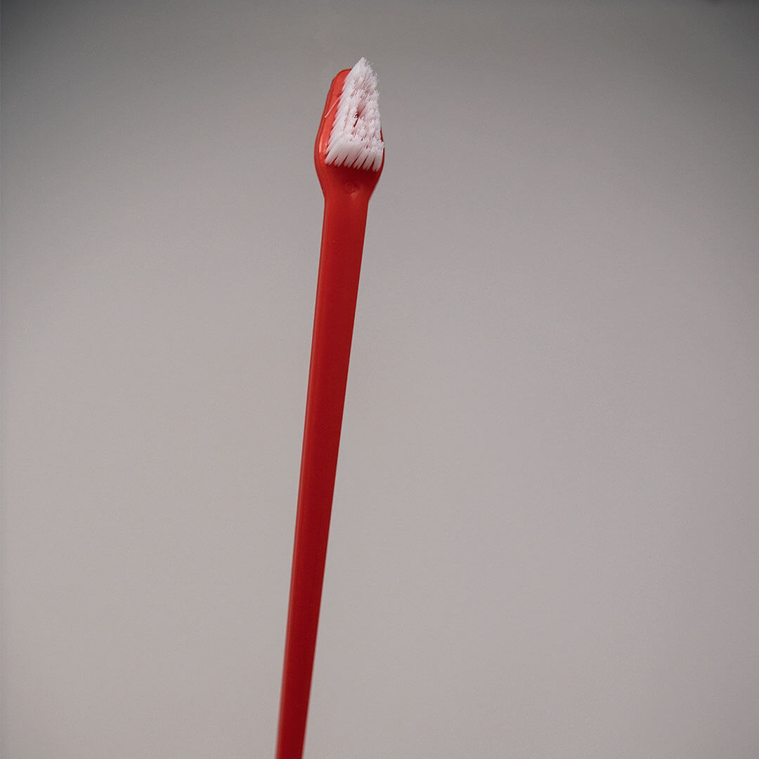 dog toothbrush close up | Pupford