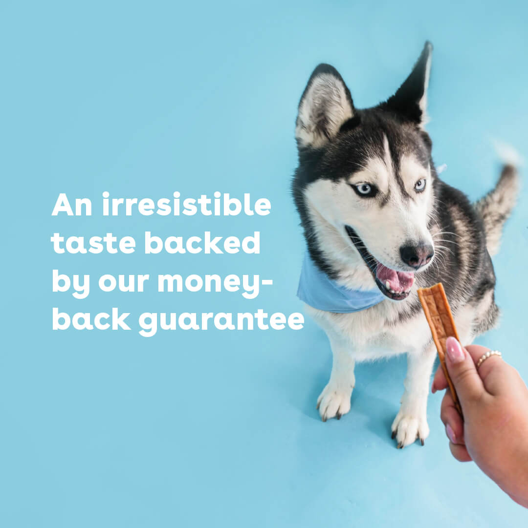 irresistable taste chicken jerky