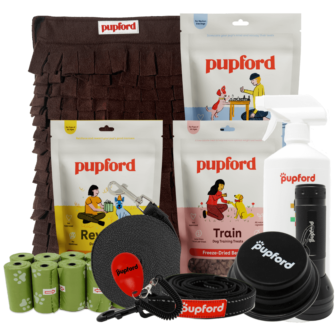 medium dog new pups pack