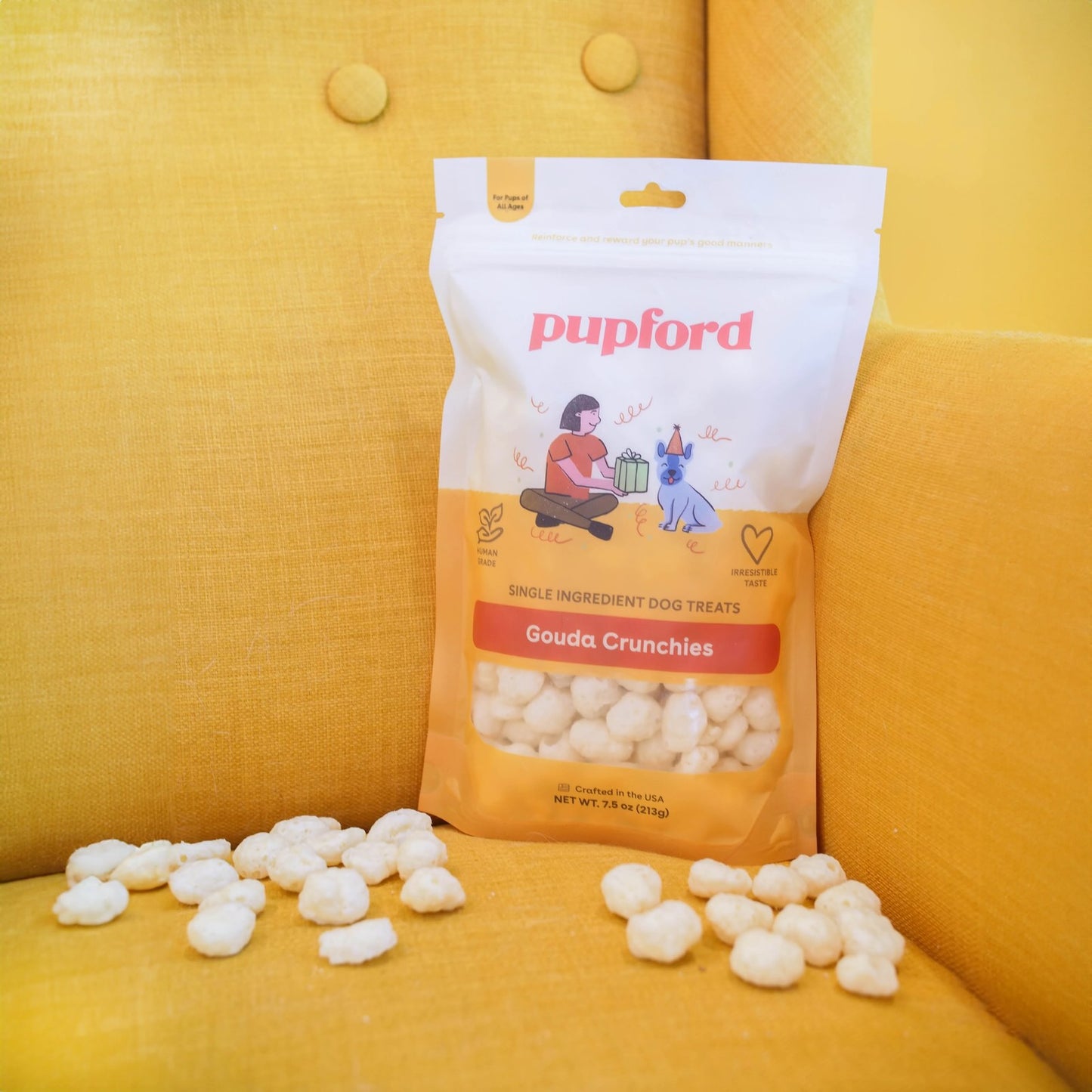 gouda on couch