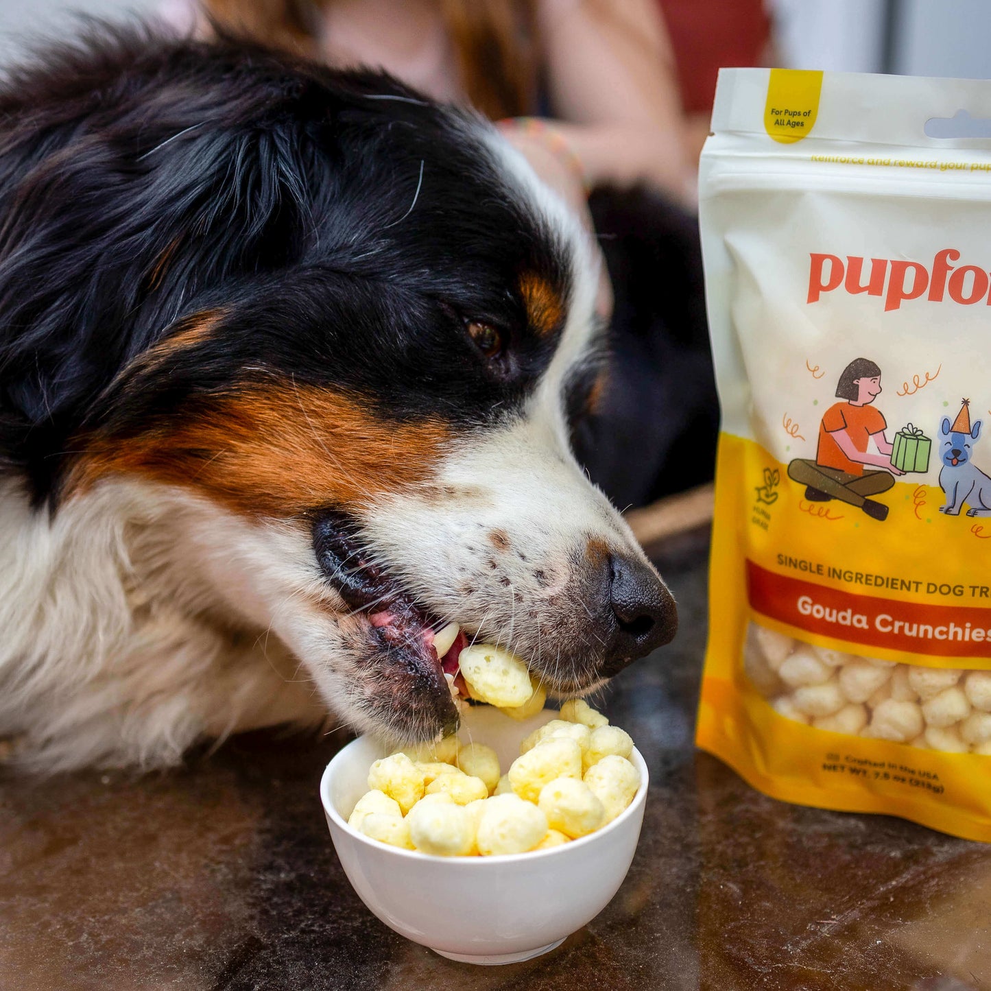 Dog eating crunchies