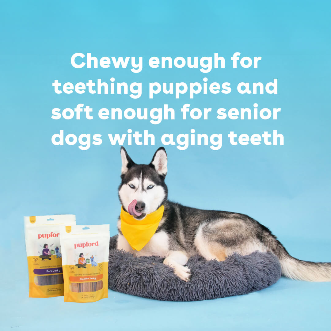 benefits of chewing jerky