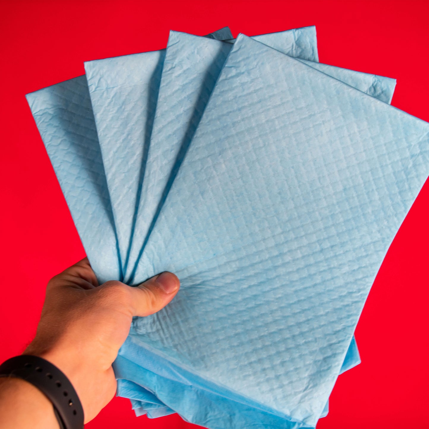 potty pads in hand | Pupford