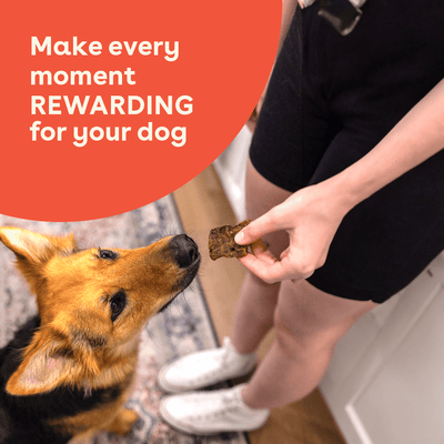 All Things Beef Pack - Descripción