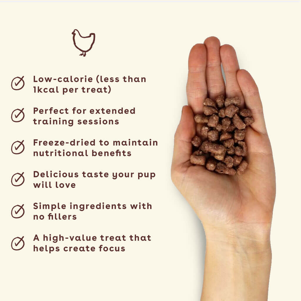 chicken training treats in hand with benefits | Pupford