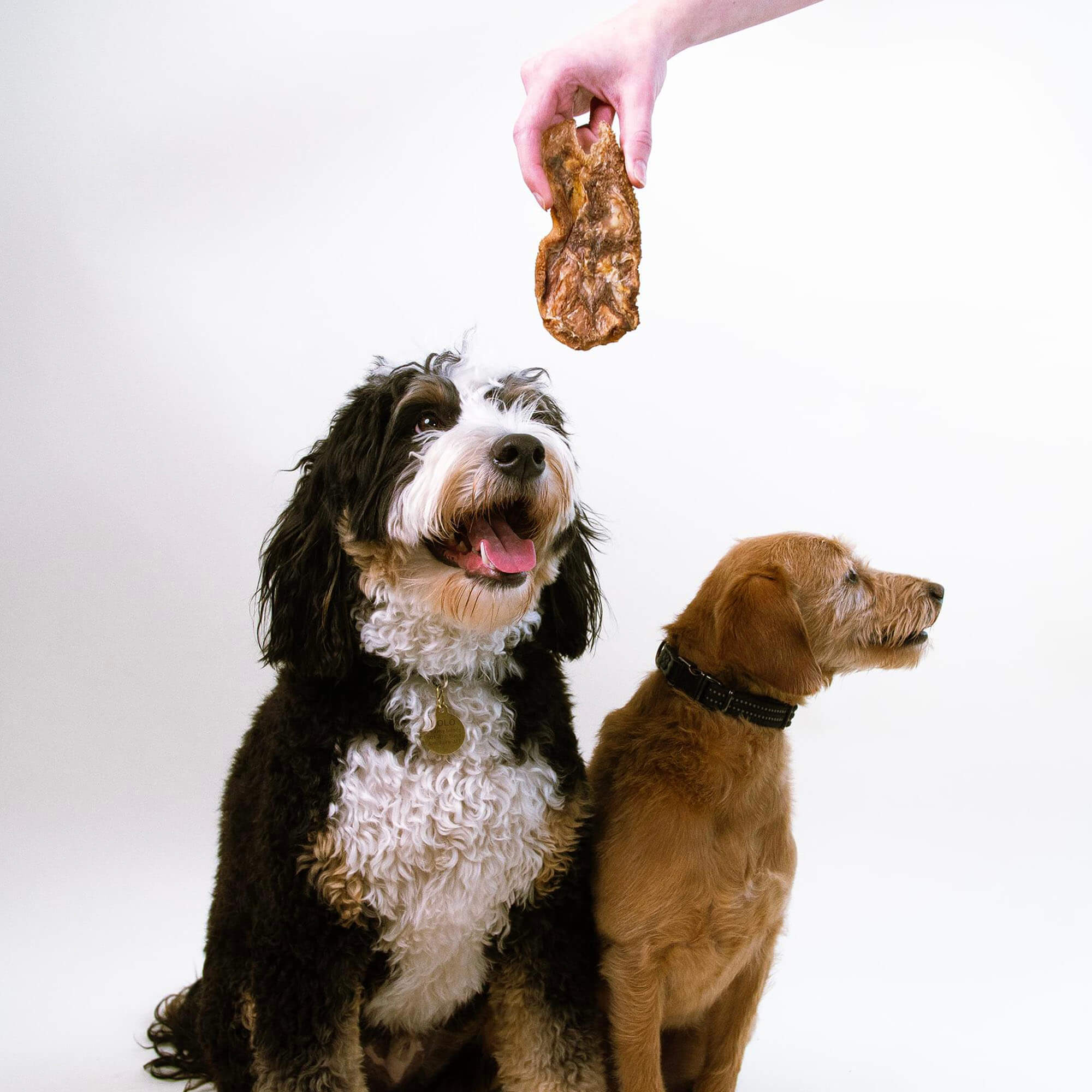 Product Treats Image