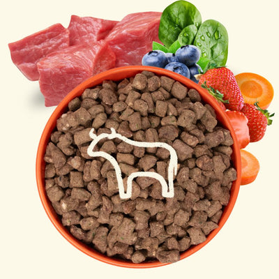 Freeze-Dried Raw Good Dog Food - Beef Recipe - Descripción