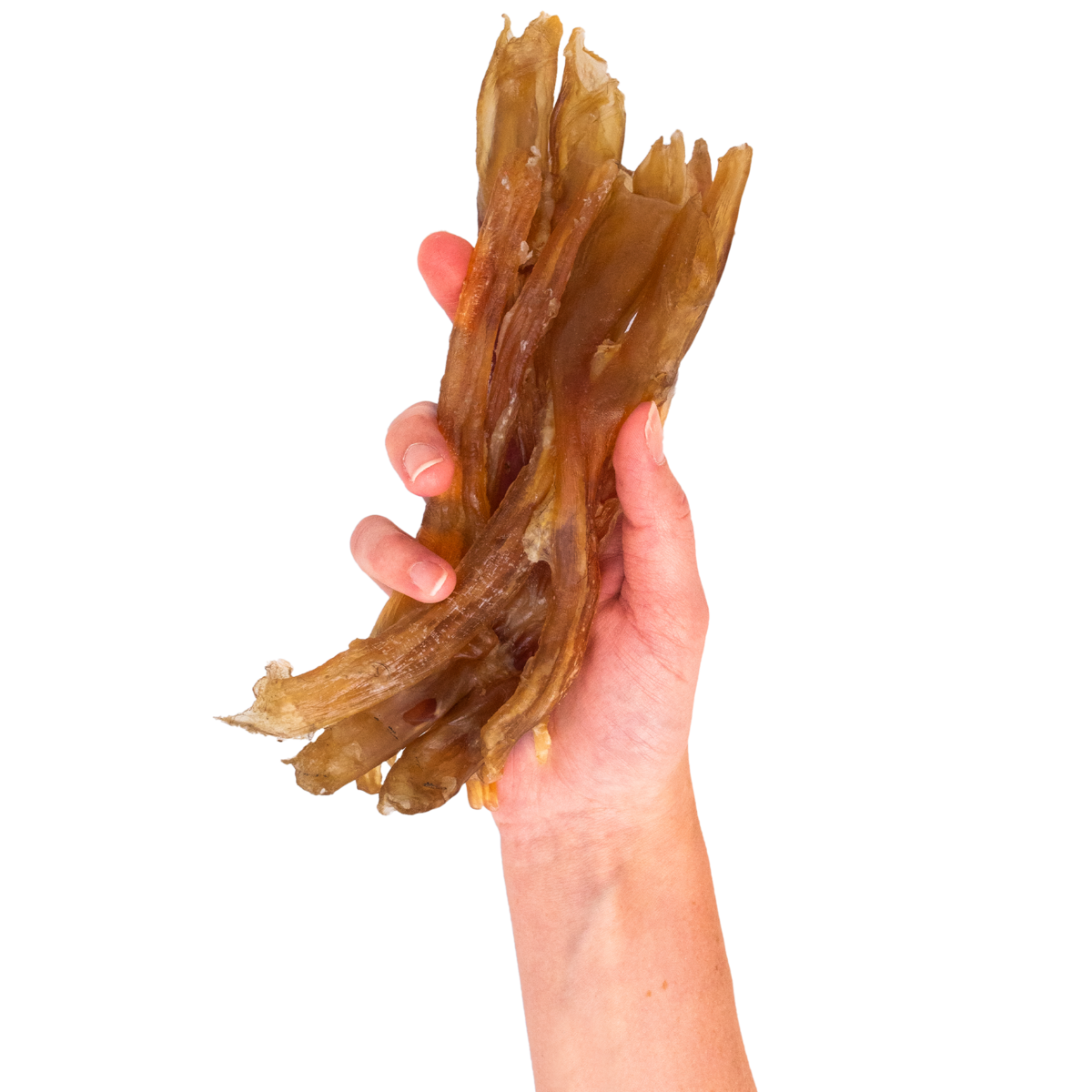 How to Use Beef Tendon Dog Chews