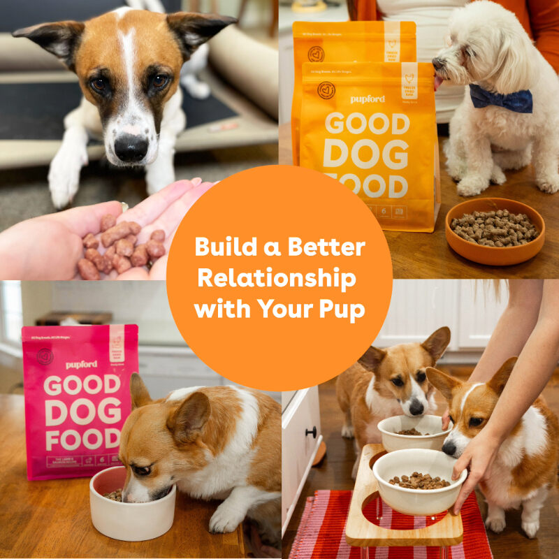 collage of dogs eating pupford freeze dried raw dog food with the text 'build a better relationship with your pup' | Pupford