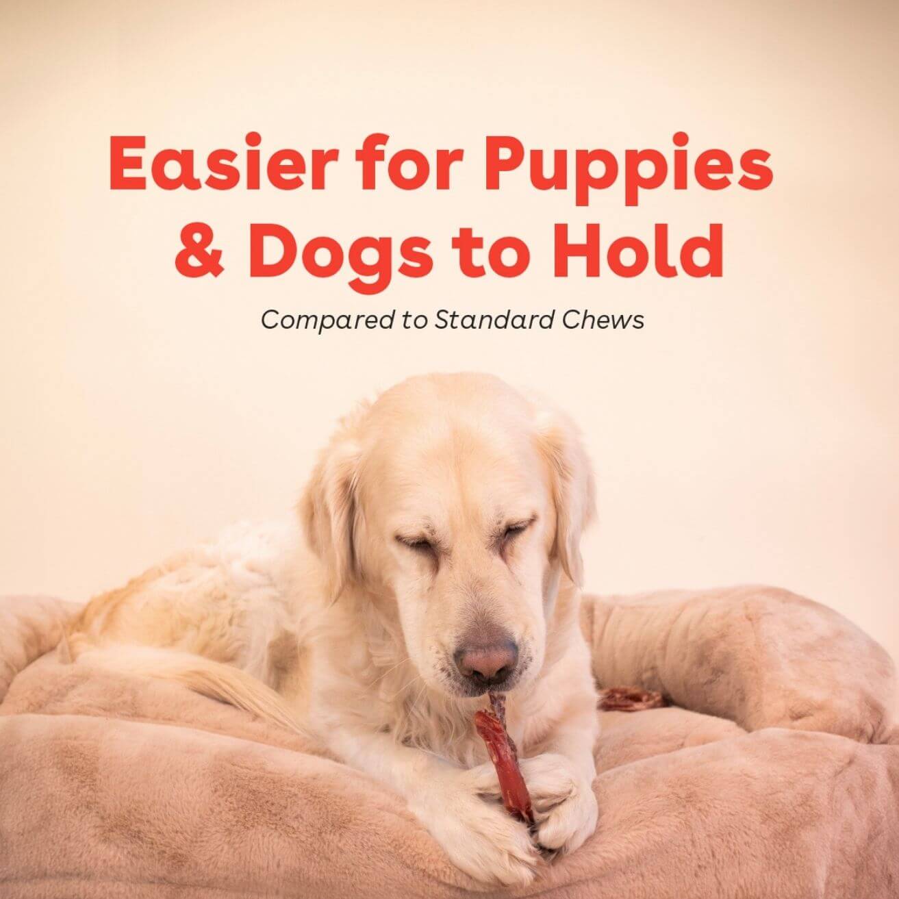 dog chewing a bully ring with the text 'easier for puppies and dogs to hold compared to standard chews' | Pupford