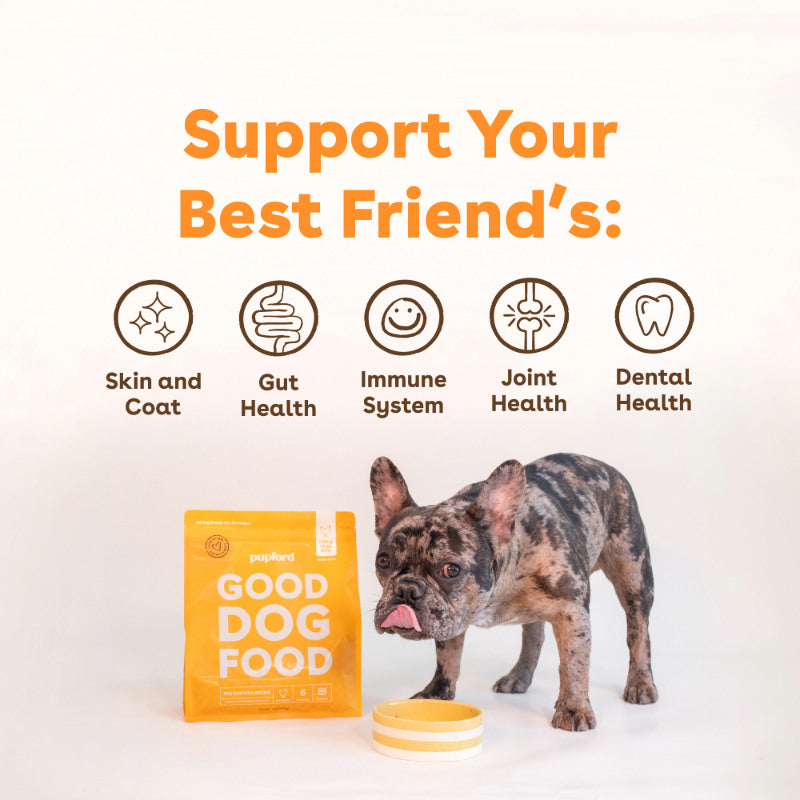 dog eating freeze dried raw food with text 'support your best friend's skin and coat, gut health, immune system, joint health, and dental health' | Pupford