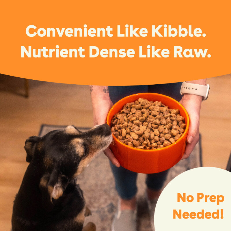 dog looking at a bowl of freeze dried food in a bowl with text 'convenient like kibble. nutrient dense like raw, no prep needed' | Pupford
