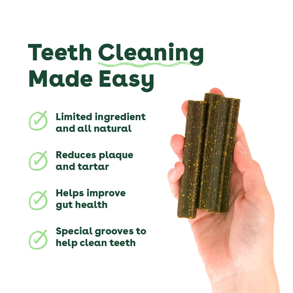 dog teeth cleaning made easy with limited ingredient dental chews | Pupford