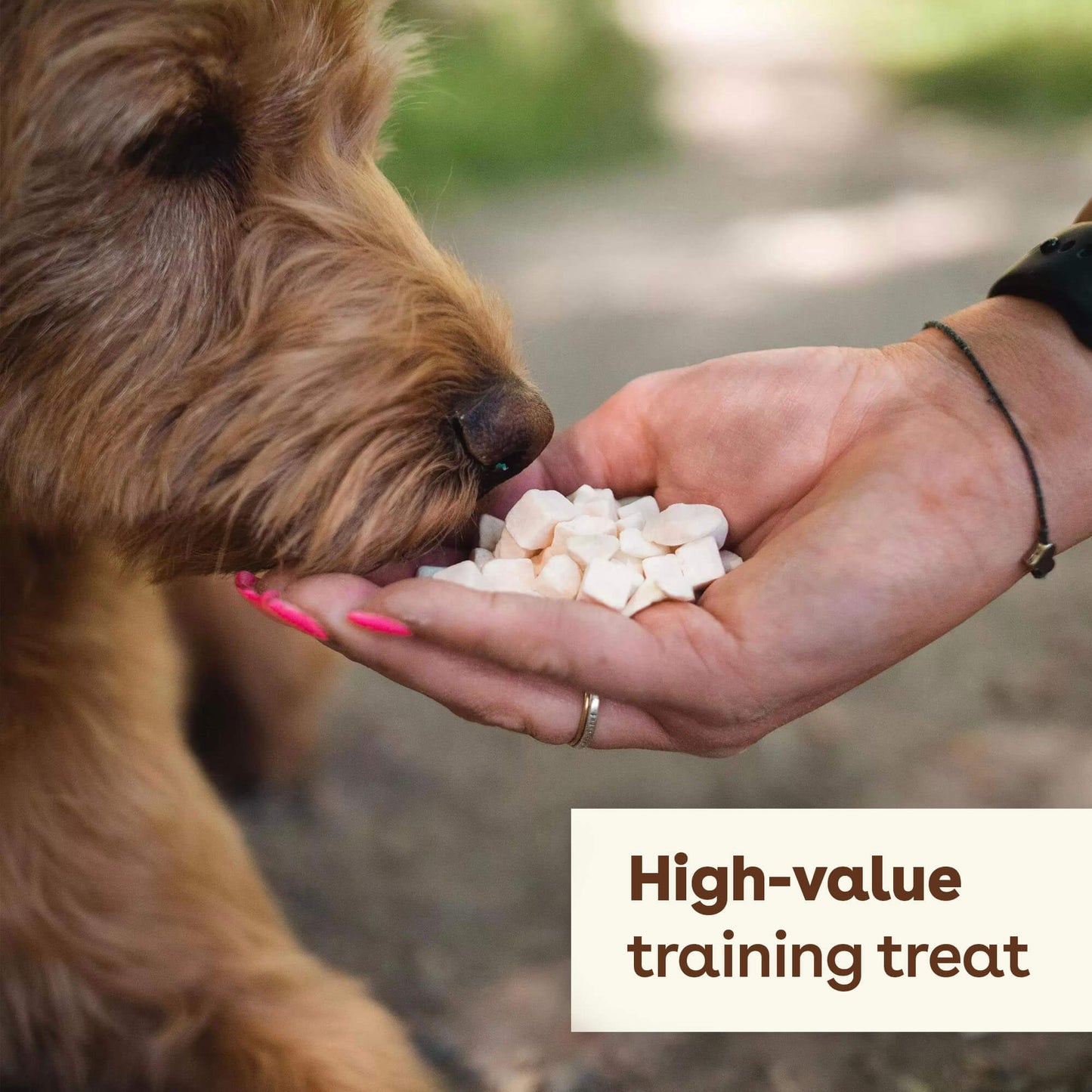 high value freeze dried sweet potato treats being given to a dog | Pupford
