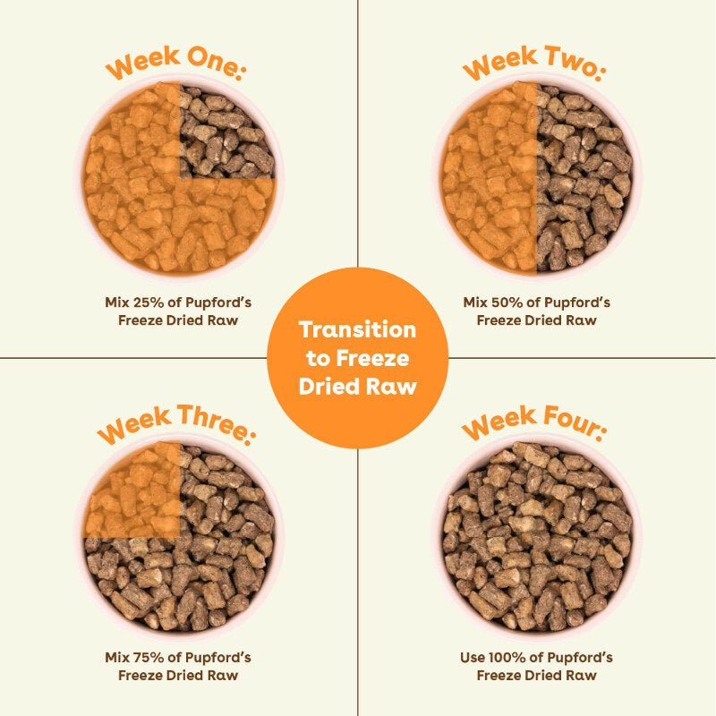 how to transition your dog to pupford freeze dried raw dog food | Pupford