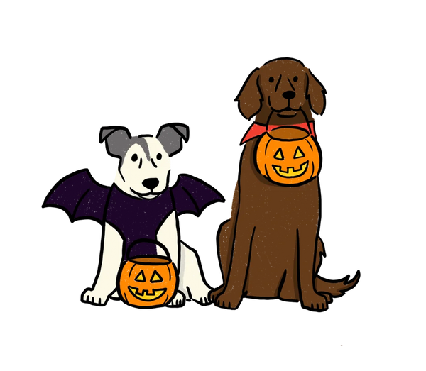 gate pups