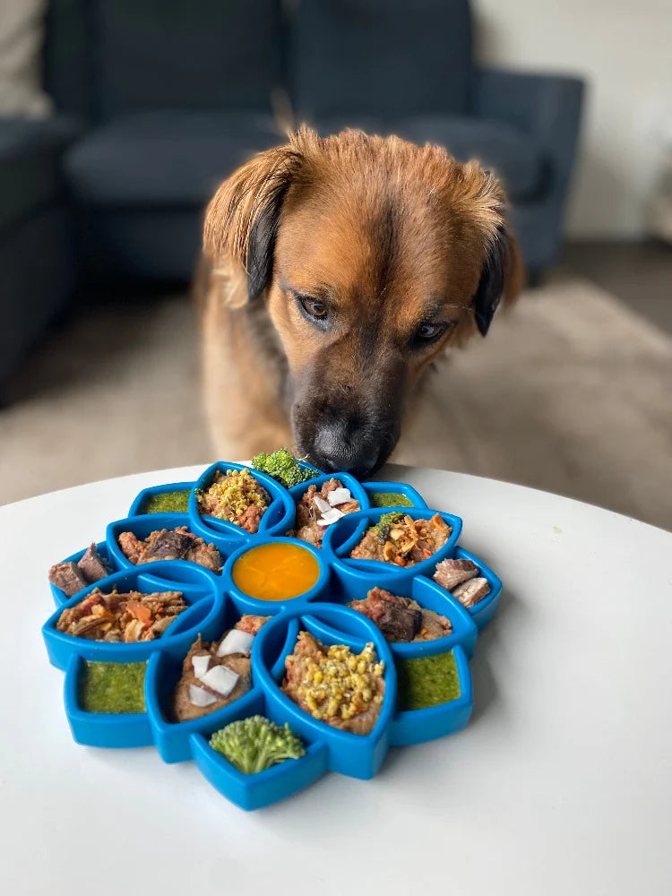 Mandala - Enrichment Slow Feeder