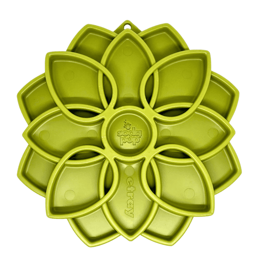 Mandala - Enrichment Slow Feeder