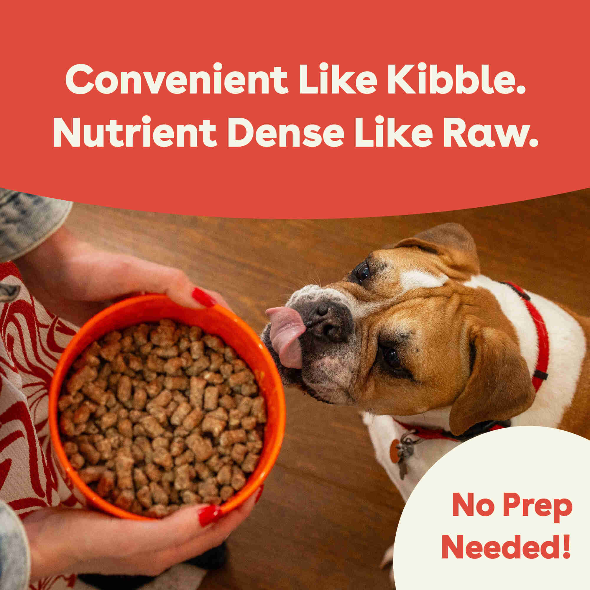 Product Treats Image