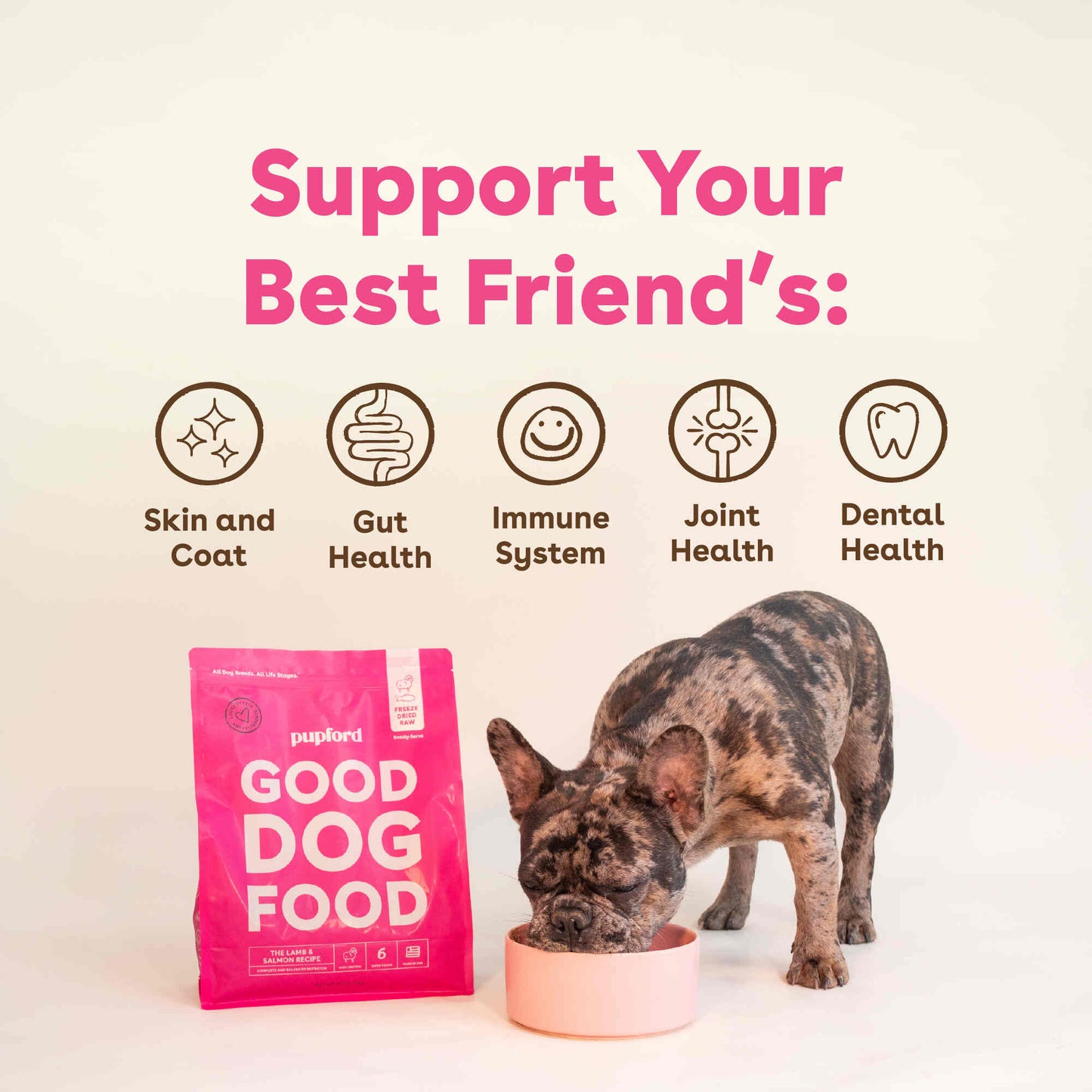 Freeze-Dried Raw Good Dog Food - Salmon & Lamb Recipe