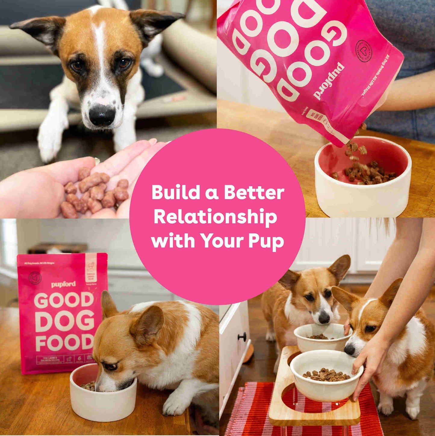Freeze-Dried Raw Good Dog Food - Salmon & Lamb Recipe