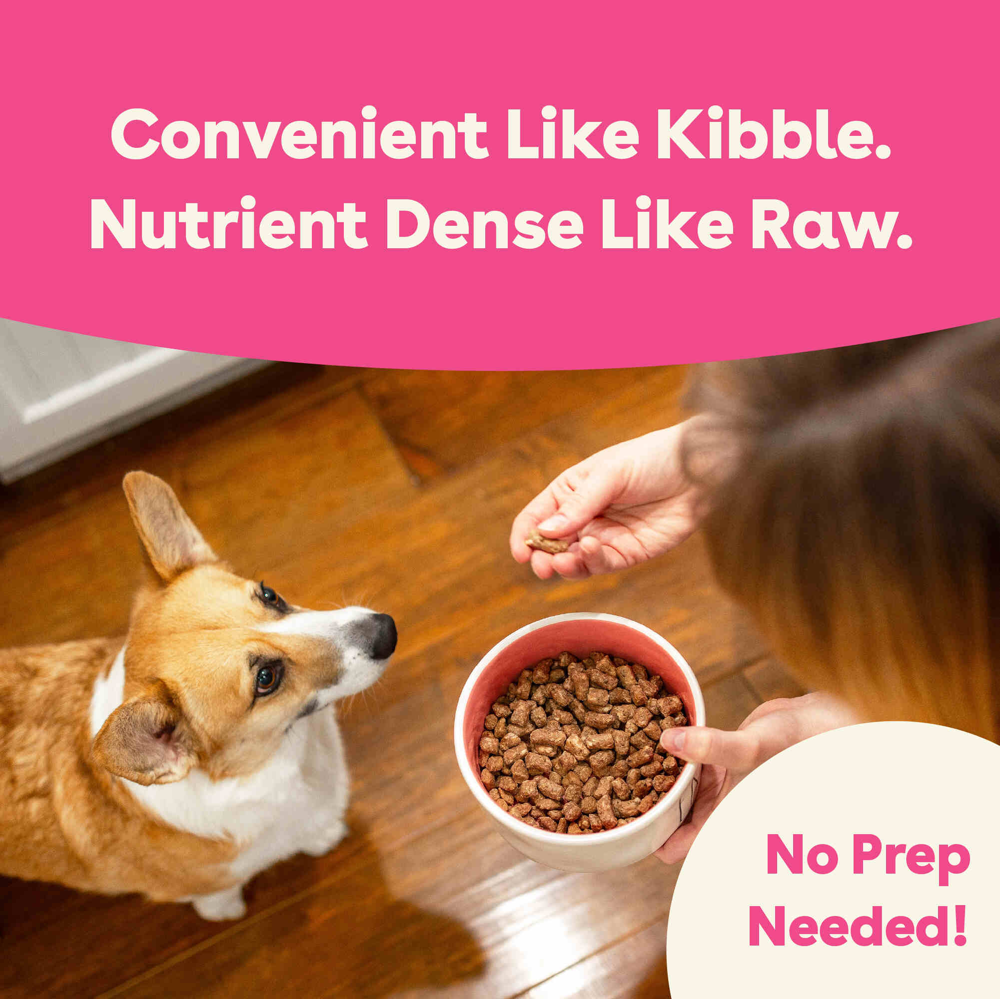 Product Treats Image