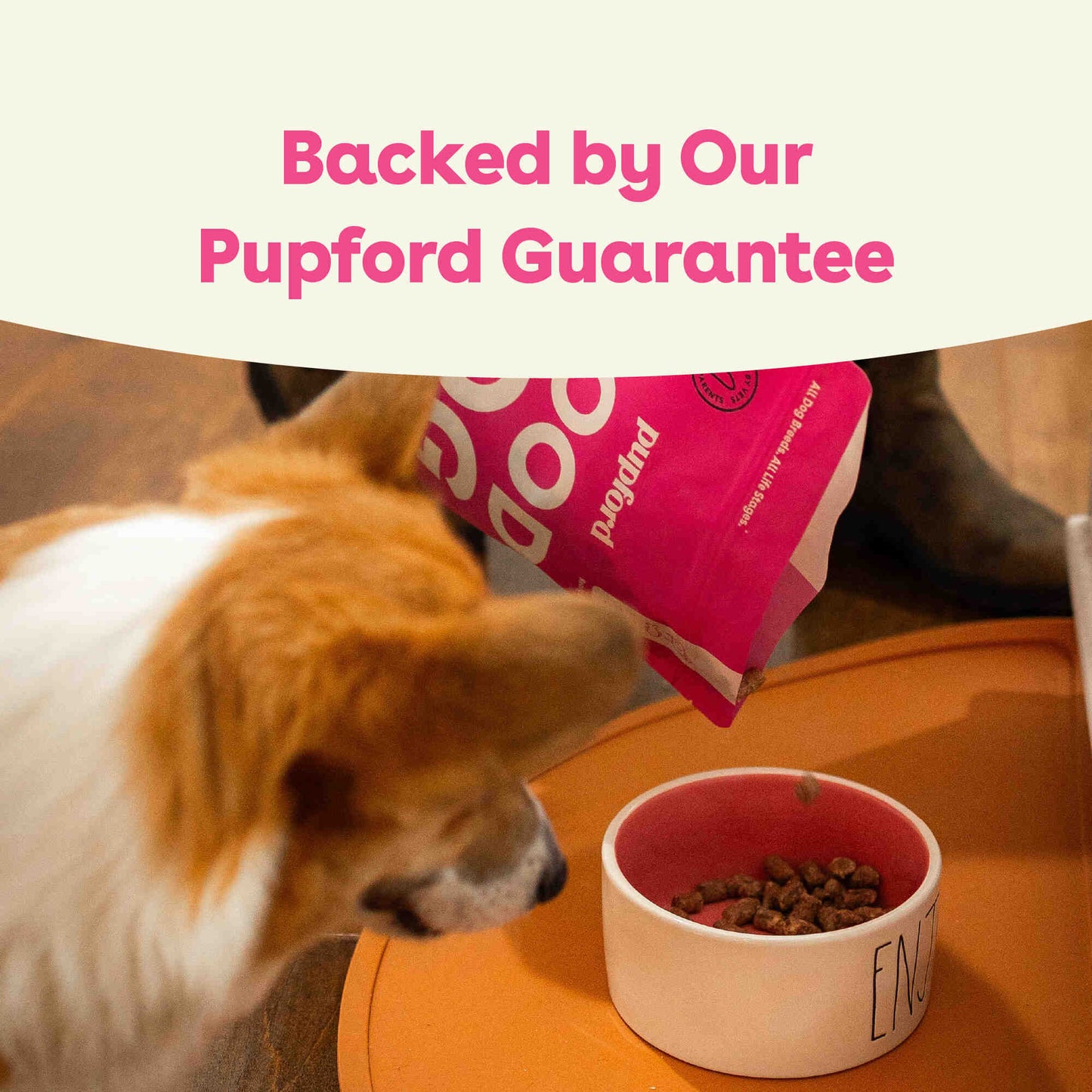 Freeze-Dried Raw Good Dog Food - Salmon & Lamb Recipe