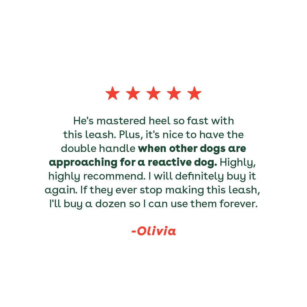 review of 6 foot leash mentioning the benefit of a second handle when dealing with a reactive dog | Pupford