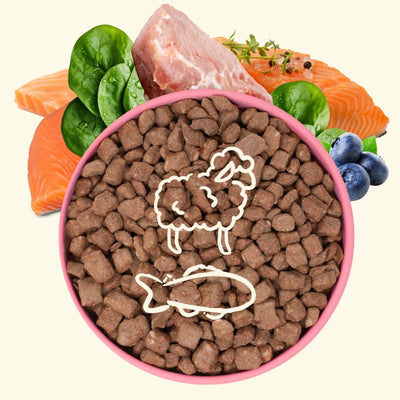 Freeze-Dried Raw Good Dog Food - Salmon & Lamb Recipe - Descripción