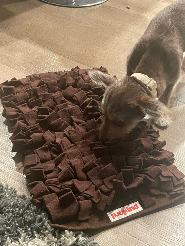 How to Use Snuffle Mat