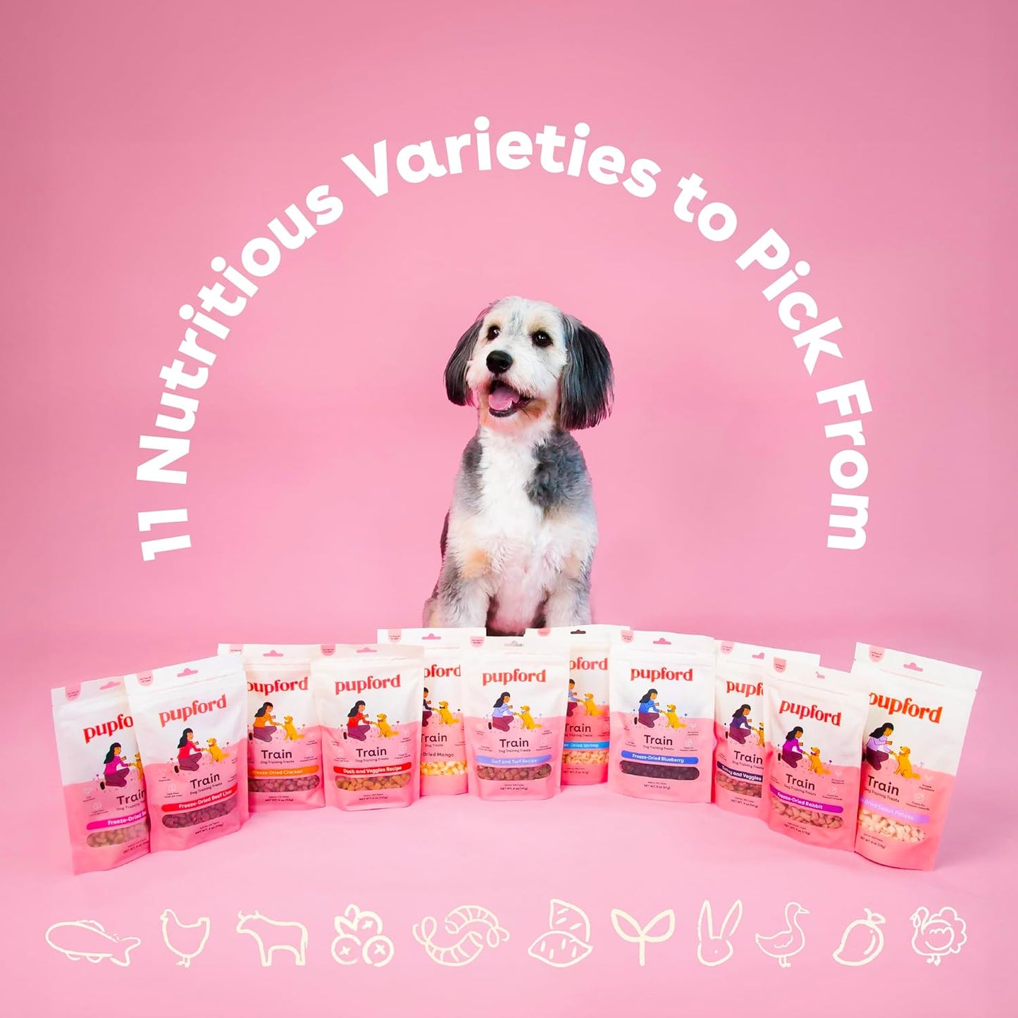 Freeze Dried Training Treats