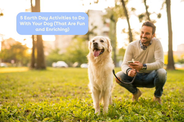 5 Earth Day Activities to Do With Your Dog (That Are Fun and Enriching) | Pupford