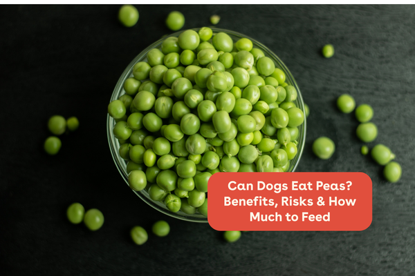 Can Dogs Eat Peas? Benefits, Risks & How Much to Feed | Pupford