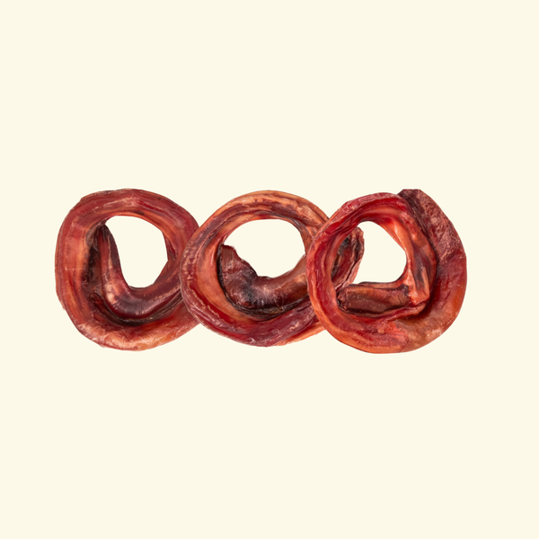 Pupford Winter Games