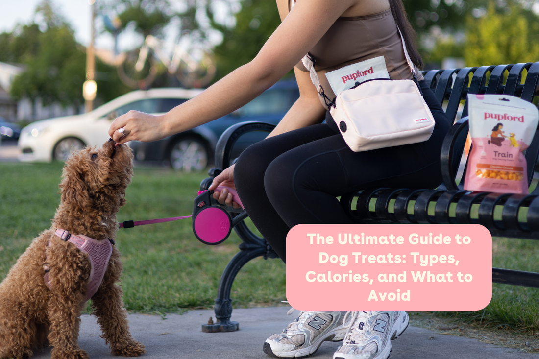 The Ultimate Guide to Dog Treats: Types, Calories, and What to Avoid | Pupford