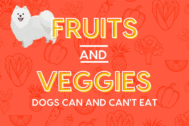 39 Fruits & Vegetables Dogs Can Eat List + Ones to Avoid | Pupford