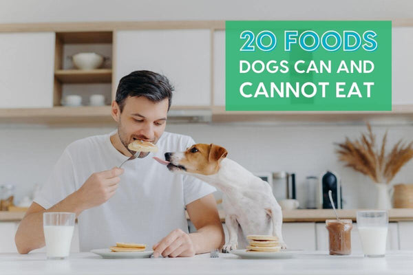 20 Foods Your Dog Can and Can’t Eat + Printable PDF | Pupford