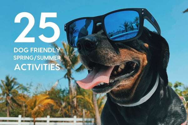25 Fun Things To Do With Your Dog - Outdoor Activities in Summer | Pupford