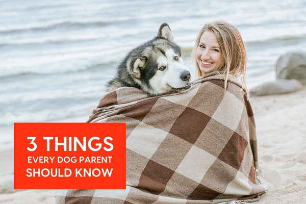 3 Simple Things Every Dog Parent Should Know | Pupford