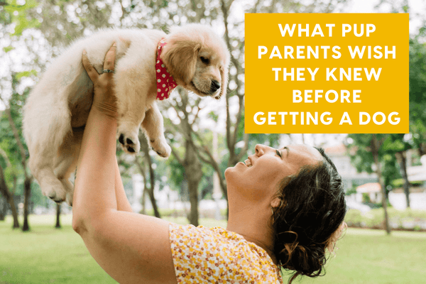 Tips for Raising a Puppy - 30 Tips from Real Pup Parents | Pupford