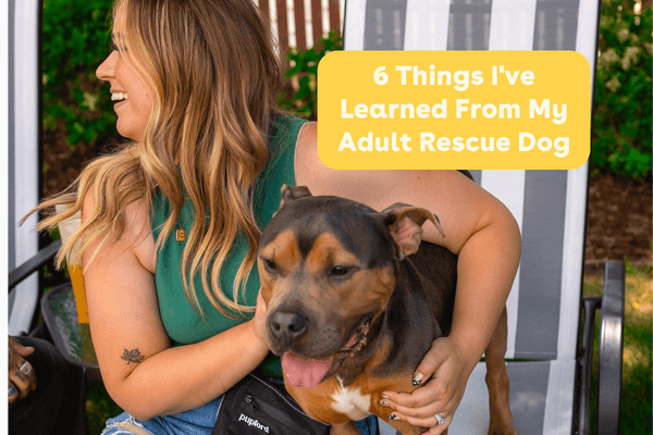 6 Things I've Learned From My Adult Rescue Dog | Pupford