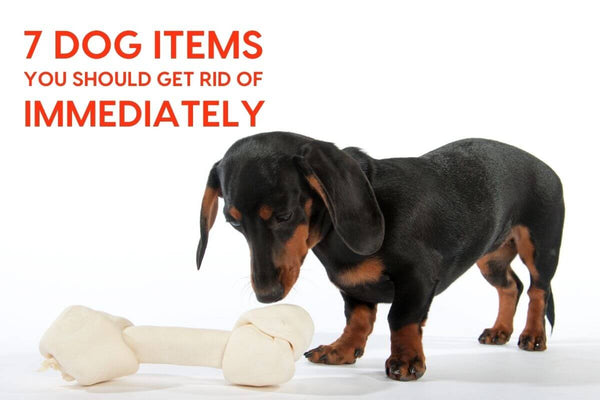 7 Dog Items You Should Get Rid of Immediately | Pupford