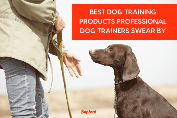 9 Best Dog Training Tools & Products Professional Trainers Swear By | Pupford