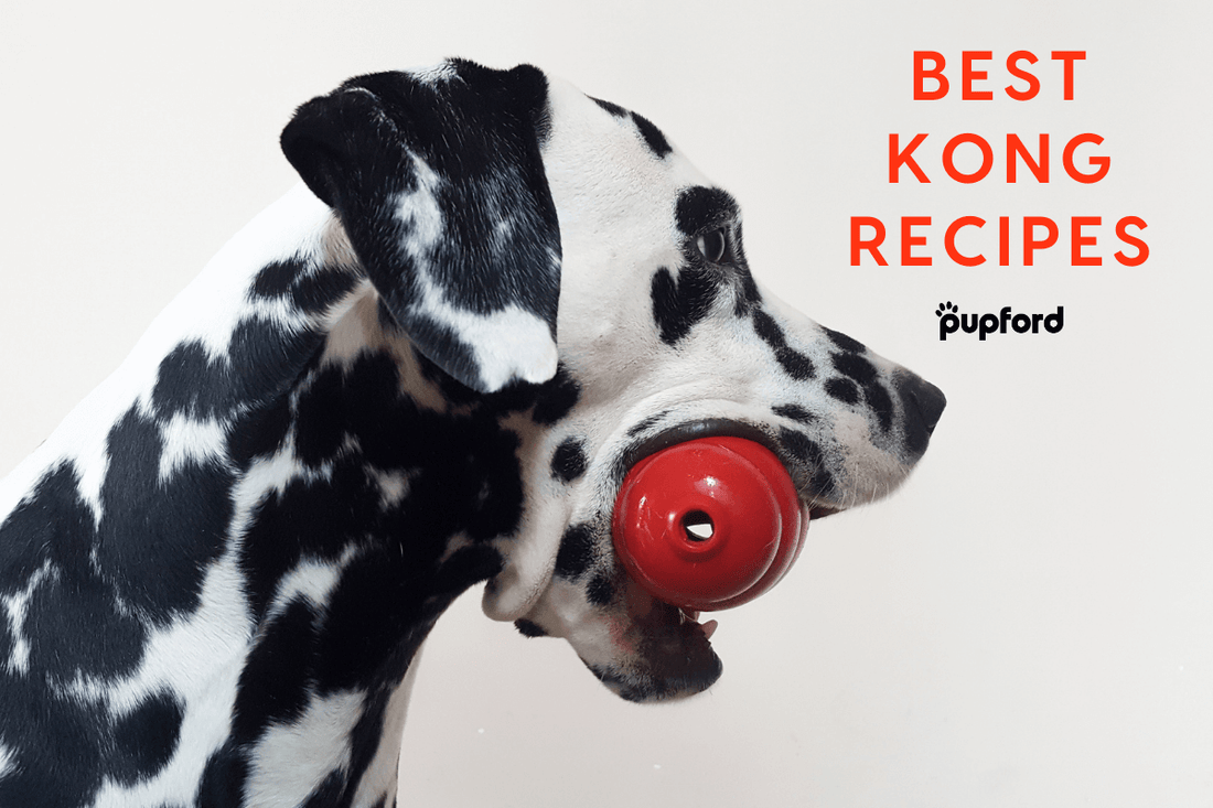 Best Kong Recipes: 21 Kong Stuffing Ideas for Puppies & Dogs | Pupford