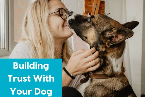 How to Build Trust With Your Dog: An Interview With Nicole Ellis CPDT-KA | Pupford