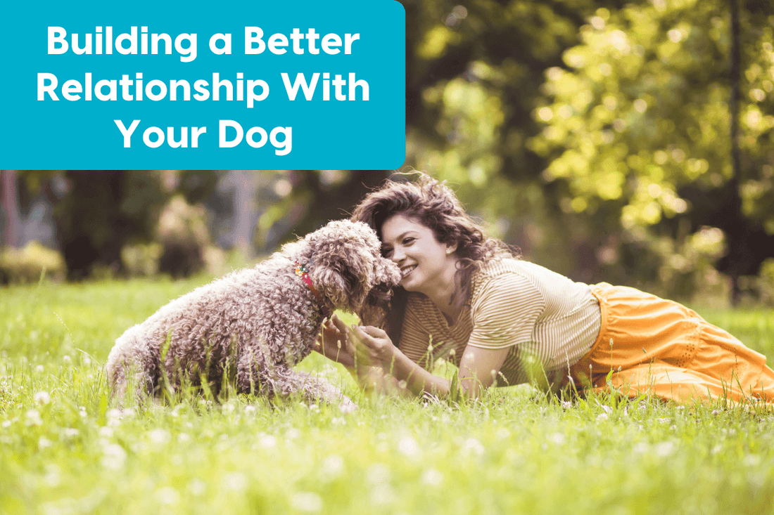 How to Bond with Your Dog: Tips for a Better Relationship | Pupford
