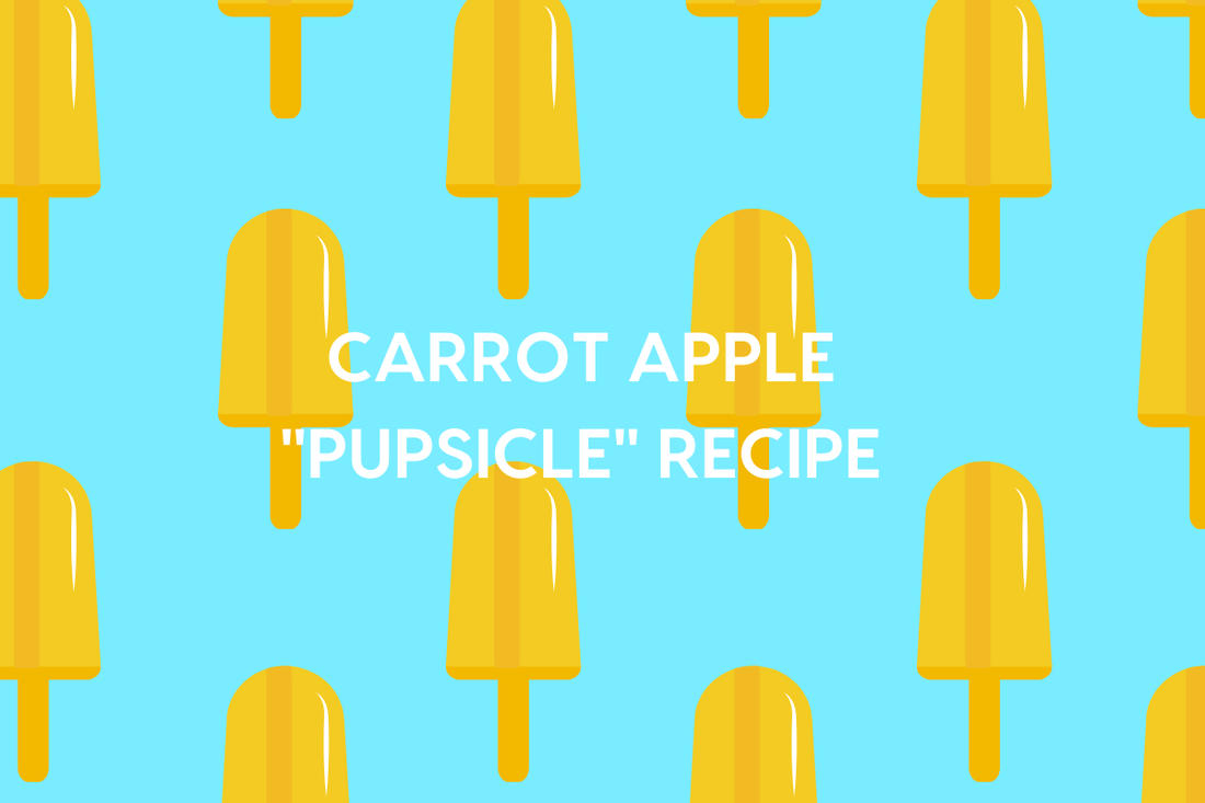 Carrot Apple Dog Popsicle Recipe | Pupford
