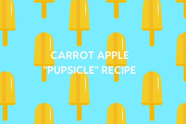 Carrot Apple Dog Popsicle Recipe | Pupford
