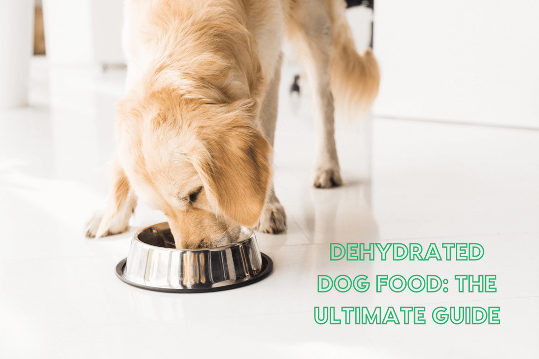 Dehydrated Dog Food: The Ultimate Guide | Pupford